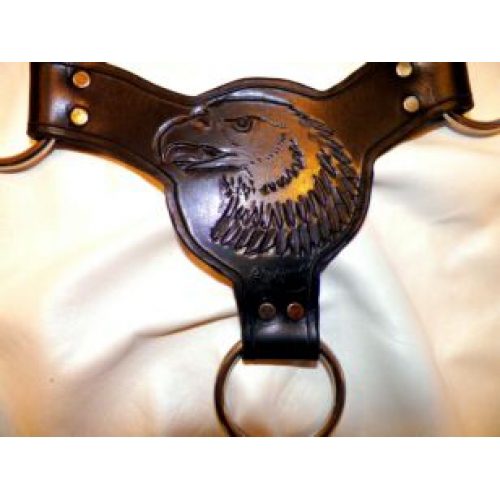 A Dark Brown Leather Flap With Rings and Eagle Design