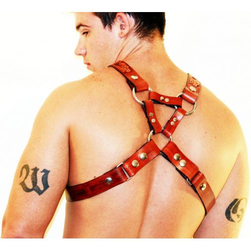 A Man Wearing a Brown Color Leather Harness Back View
