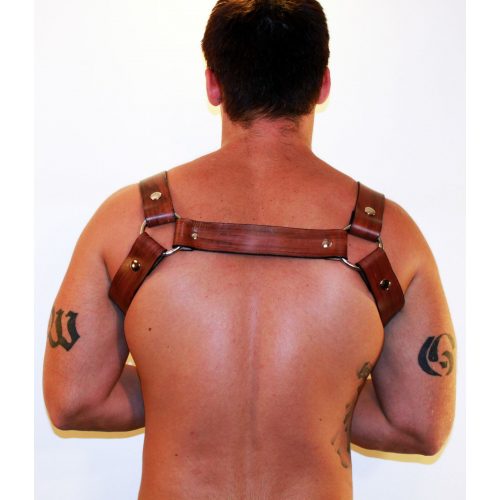 A Man Wearing a Brown Color Harness With Design Back