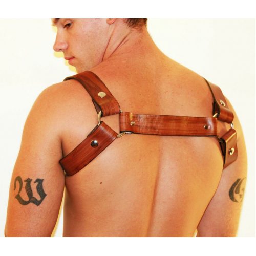 The Backside of a Man Wearing a Brown Color Harness