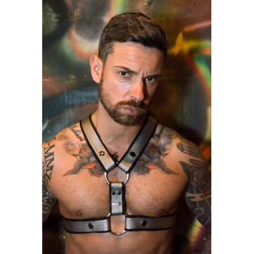 A Man in a Silver Color Harness With Black Border Copy