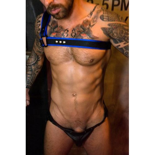 Man in a Black Harness With Blue Border and Underwear