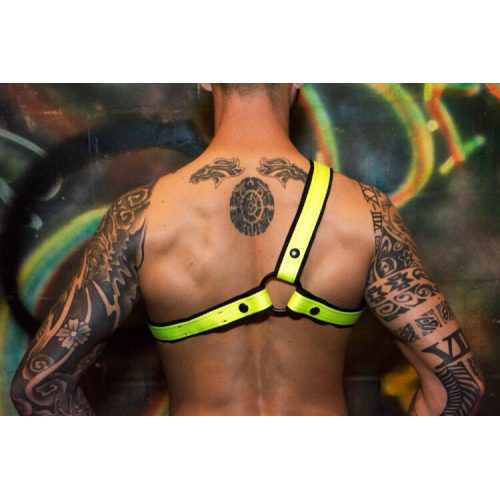 Man in a Yellow Color Harness With Black Border