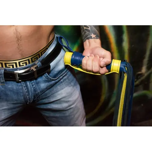 A Man Holding a Yellow and Blue color Leash