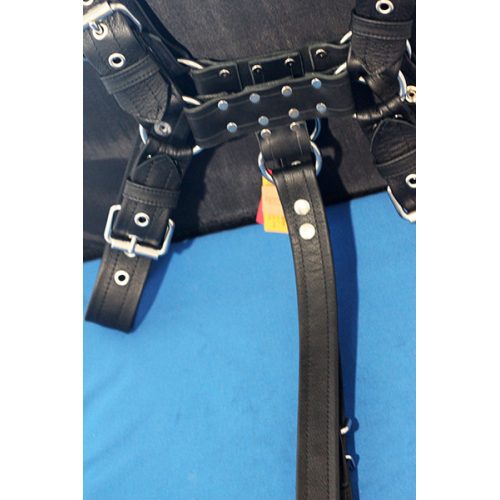 A Black Color Leather Harness on a Blue Surface