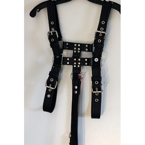 A Black Color Leather harness Put on a Hanger