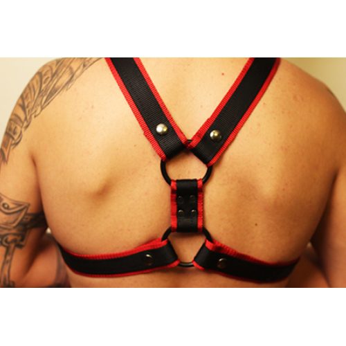 A Man Wearing a Black Color Leather Harness With Red Border