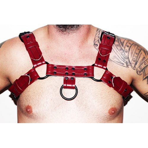 A Man Wearing a Red Color Harness Close Up