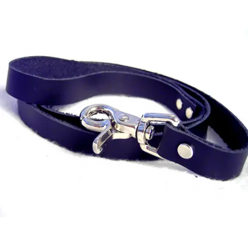 Black Color Leather Leash With Metallic Pin