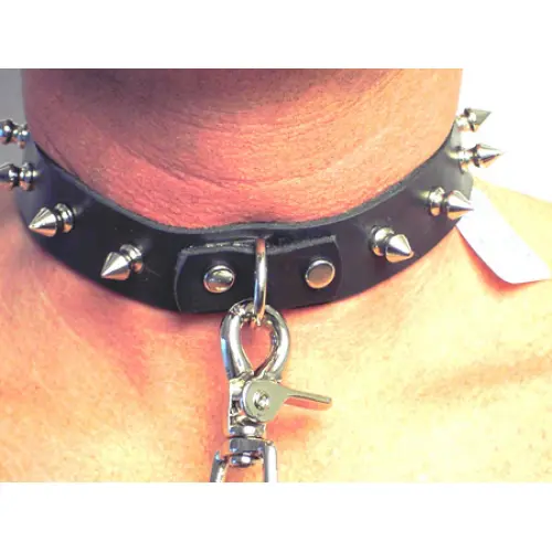 1″ Wide Collar With Spikes And Dee Ring