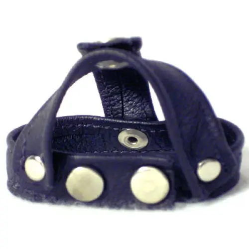 A Black Color Strap Harness With Button Setting