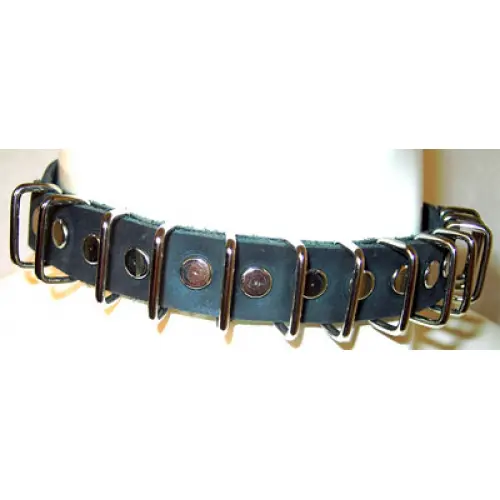 3/4 Inch Wide Leather Collar With Metal Loops