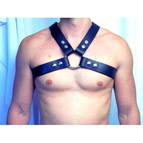1-1/2″ Harness With Large Snaps