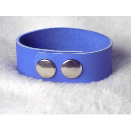 A Blue Color Leather Strap With Adjustable Setting