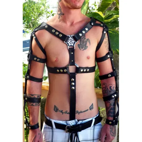 Combo Full Harness With Two Arm Harnesses
