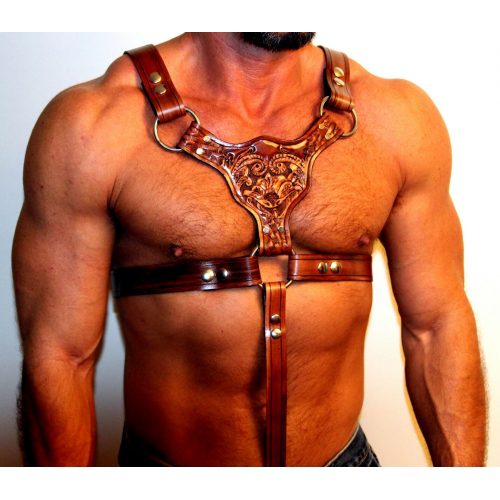 A Brown Color Leather Harness With a Design on Center Disk