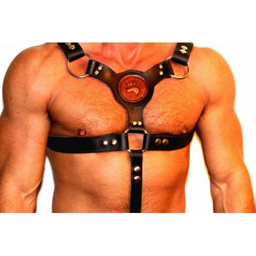A Man Wearing a Black Color Harness With Paw Print