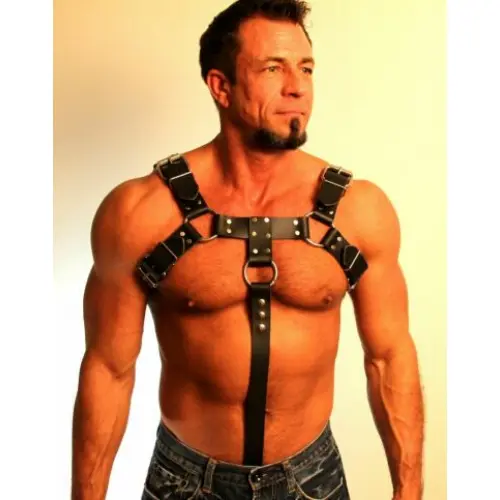 1-1/2″ Wide Bulldog Harness With Buckles And Center Dropdown Rings