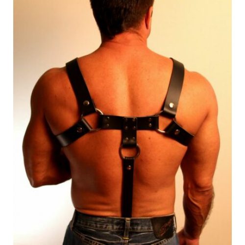 A Man Wearing a Black Color Leather Harness Back