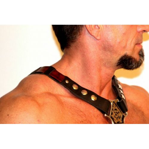 Shoulder Straps of a Leather Harness With Brass Buttons