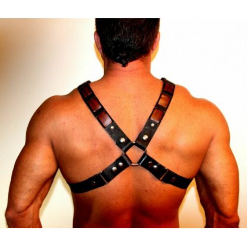 A man wearing a leather harness