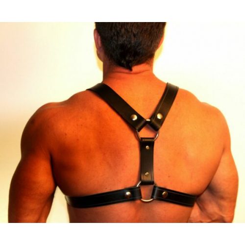 A Brown Color Cross Leather Harness With Rings