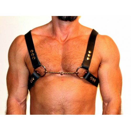 A Black Color Leather Harness With Wire Fitting